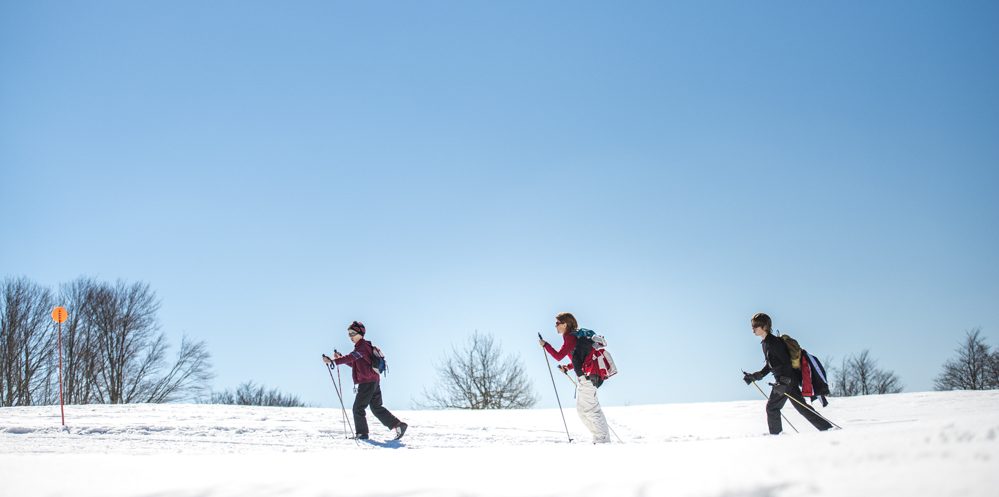 Assurance Alpin 1 jour