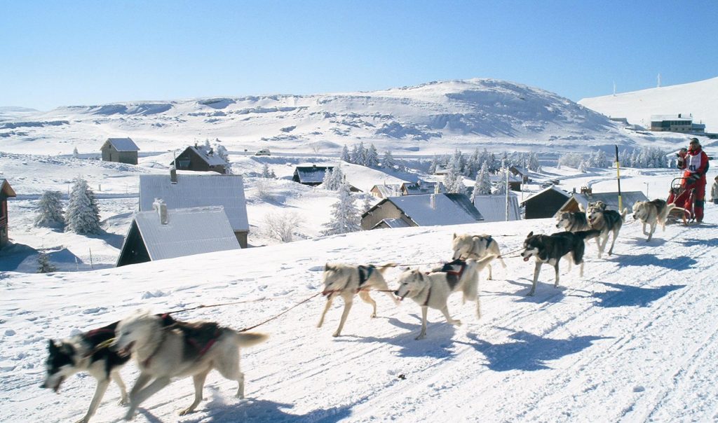 Conduite attelage journée (client accompagné)